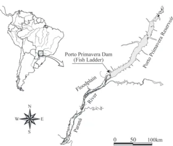 Fig. 1. Location of Engenheiro Sérgio Motta (Porto Primavera) Hydroeletric Power Plant, Paraná River, Mato Grosso do Sul, São Paulo States, Brazil.