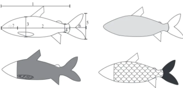 Table 1. Description of the morphological measurements.