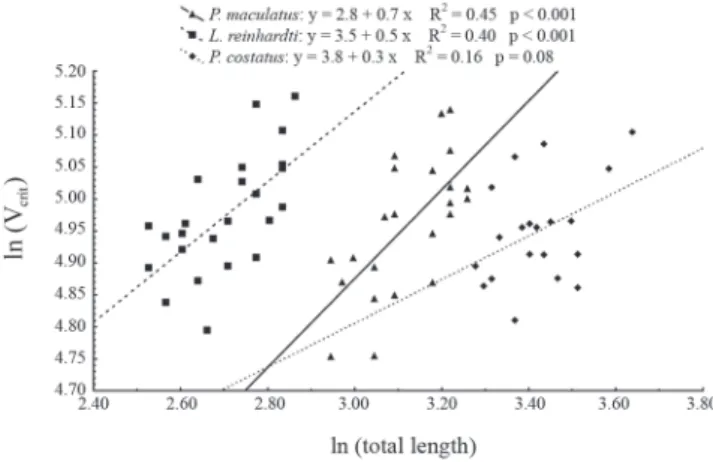 Fig. 1. The linear regression for natural logarithm of critical speed (cm/s) and natural logarithm of total length (cm).