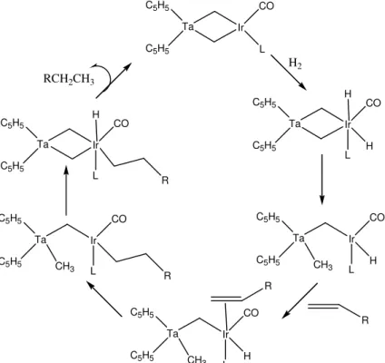 Figura 1.2: Mecanismo proposto para reação de hidrogenação de alquenos usando  como catalisador o complexo heterometálico [(C 5 H 5 ) 2 Ta(μ-CH 2 ) 2 Ir(CO)L]  (L=CO, C 6 H 6 )