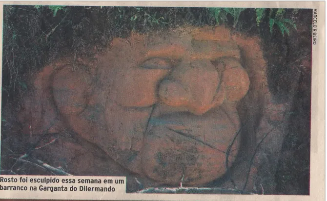Fig. 6 -  Rosto esculpido no barranco da Garganta do Dilermando em Juiz de Fora (MG). 