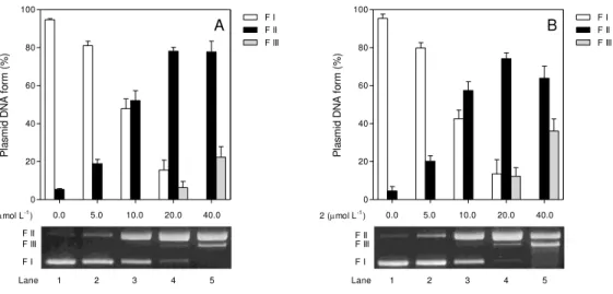 Figura  20.  Clivagem  do  ADN  plasmidial  supernovelado  após  ser  exposto  a  diferentes  concentrações (5 – 40 mmol L -1 ) dos complexos por 4 horas à 37ºC em solução tampão de  Tris-HCl 10 mmol L -1  (pH=7,4)