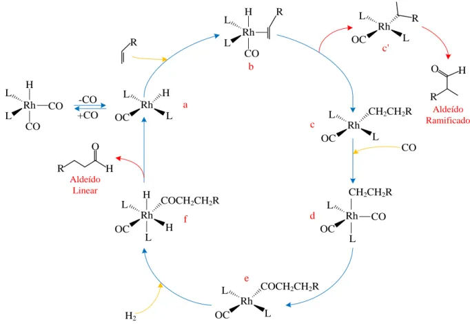 Figura 8: Ciclo catalítico dissociativo da reação de hidroformilação. 