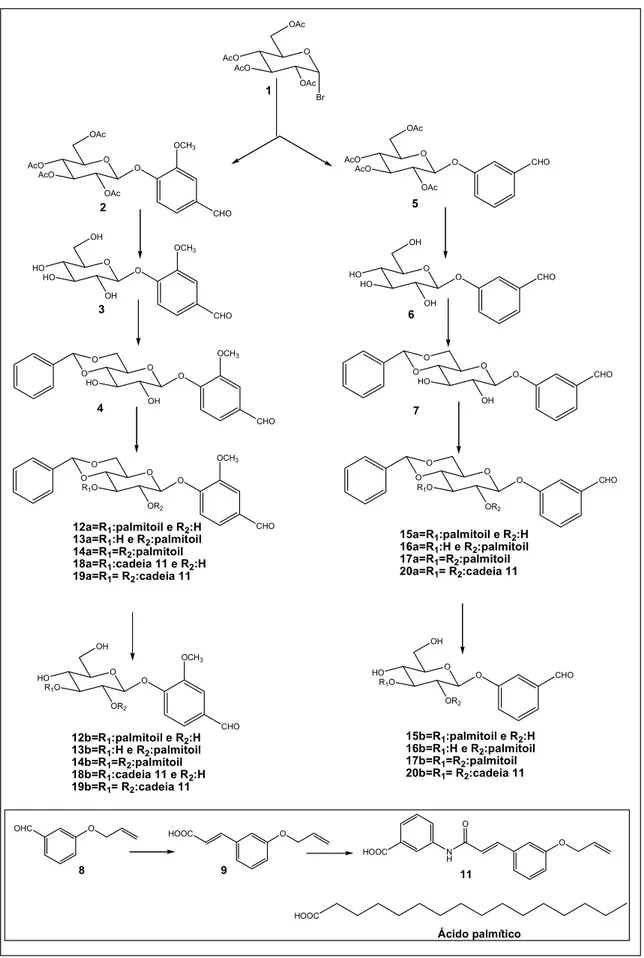Figura 8:  Plano de síntese para obtenção dos análogos da papulacandina D