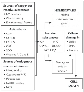 Figure 1 presents the sources generating reactive sub- sub-stances, as well as the cellular response to the conditions  that could result in oxidative stress