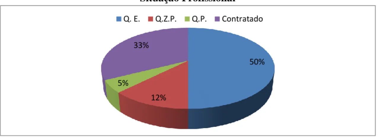 Gráfico 4 – Situação profissional dos docentes