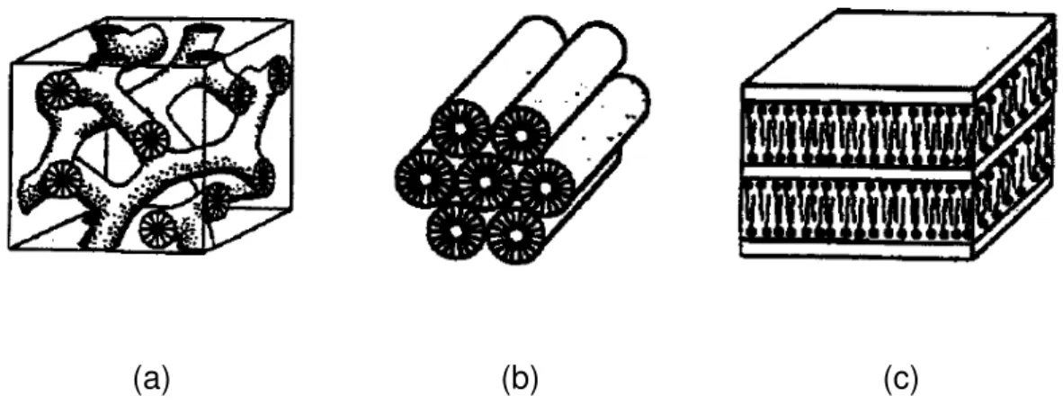 Figura 2: Estruturas pertencentes à família M41S: (a) estrutura cúbica MCM-48;  (b) estrutura hexagonal MCM-41; (c) estrutura lamelar MCM-50