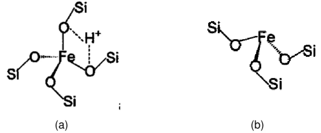 Figura 4: (a) Estruturas dos compostos de Fe contendo sítios ácidos de Bronsted  e (b) de Lewis