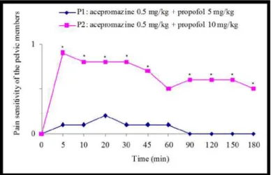 FIGURE  2  -  Average  scores  for  locomotion  at  different  times  in  P.  expansa (G1 and G2) submitted to different anesthetic protocols (P1 and  P2)