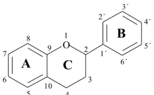 Figura  6  –  Estruturas  básica  de  um  flavonoide. 