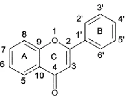 Figura  8  –  Estrutura  química  de  uma  flavona  (C 15 H 10 O 2 ). 