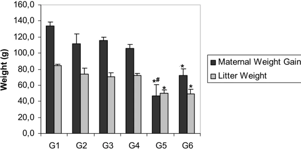 FIGURE 1 - Maternal weight gain and litter weight on day 21 of pregnancy of rats from different experimental groups
