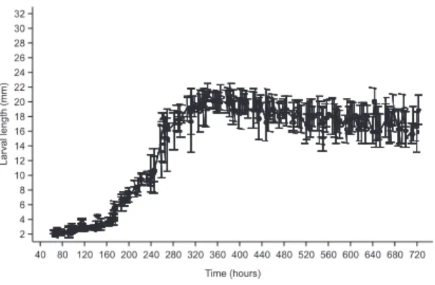 FIguRe  7:  Larval  growth  of  Calliphora  nigribasis  at  10.62 ± 2.51°C.