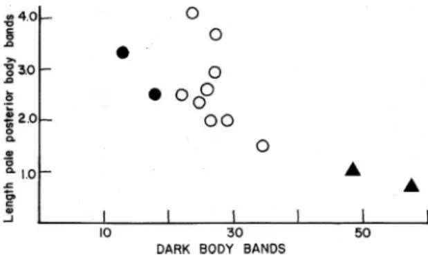 FIGURE 8: Relationship between dorsal dark body band number  and  length  of  pale  posterior  interspaces  in  Oxyrhopus  petola