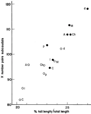FIGURE 4: Relationship between tail length (as % of total length)  and mean number of pairs of subcaudal scales in Oxyrhopus petola