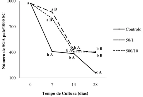 Gráfico 4 – Comparação pelo teste de Mann Whiney U do número  médio de pale  em  cultura  por  1000  células  de  Sertoli,  nos  dias
