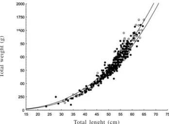 Fig. 3. Frequency of occurrence of males (black columns, n = 130) and females (white column, n = 111) of Atlantoraja cyclophora by total length size classes of 1 cm in the summer surveys.