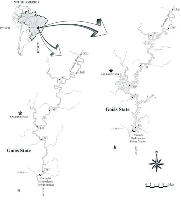 Fig. 1. Location of the study area in the rio Corumbá (a) and reservatório de Corumbá (b), GO.