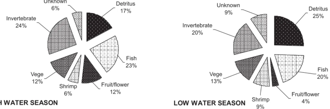 Fig. 2. Relative importance of food categories in supporting the community’s biomass of fish species inhabiting a floodplain lake (lago do Rei) in Central Amazonia in the two seasons.