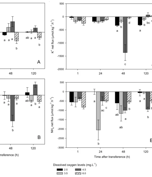 Fig. 1. Na +  (A) and Cl -  (B) net fluxes of silver catfish juveniles acclimated at 6.0 mg.L -1  dissolved oxygen levels and transferred to aquaria with different oxygen dissolved levels