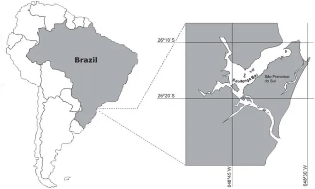 Fig. 2. Babitonga bay and São Francisco do Sul Island, Southern Brazil (Santa Catarina state).