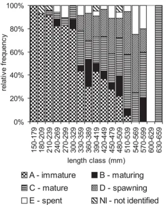 Table 2. Merluccius hubbsi: comparison between macroscopical and microscopical staging of ovarian development