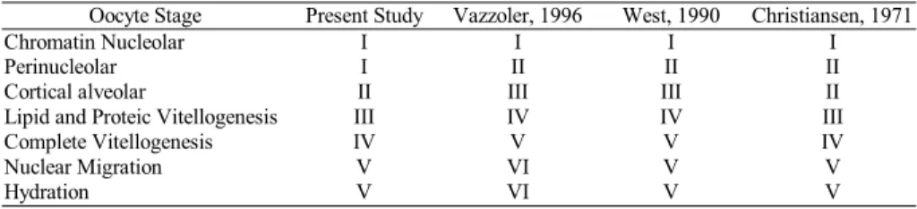 Table 3. Comparison between phases of oocyte development proposed in this paper and by other authors.