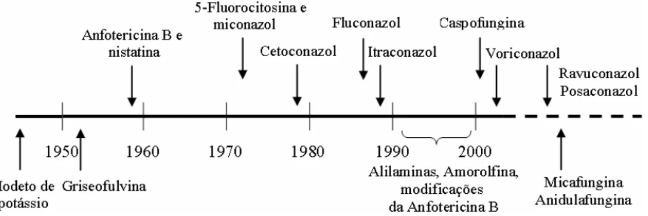 Figura 1.1 - Desenvolvimento de fármacos antifúngicos. 