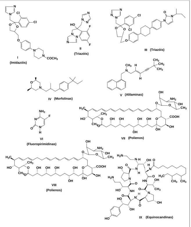 Figura 1.2 - Estrutura e classe dos principais fármacos antifúngicos. 