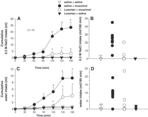 Fig. 2 – (A) Cumulative 0.3 M NaCl intake; (B) individual 0.3 M NaCl intakes (180 min); (C) cumulative water intake; (D) individual water intakes (180 min) by fluid replete rats treated with losartan (50 μg/0.2 μl) or saline combined with muscimol