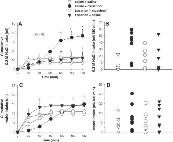 Fig. 3 – (A) Cumulative 0.3 M NaCl intake; (B) individual 0.3 M NaCl intakes (180 min); (C) cumulative water intake; (D) individual water intakes (180 min) by FURO + CAP-treated rats that received losartan (50 μg/0.2 μl) or saline combined with muscimol (0