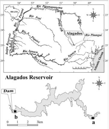 Fig. 1. Localization and morphometry of Alagados Reservoir, Paraná, Brazil, depicting sample sites: a=riverine zone;