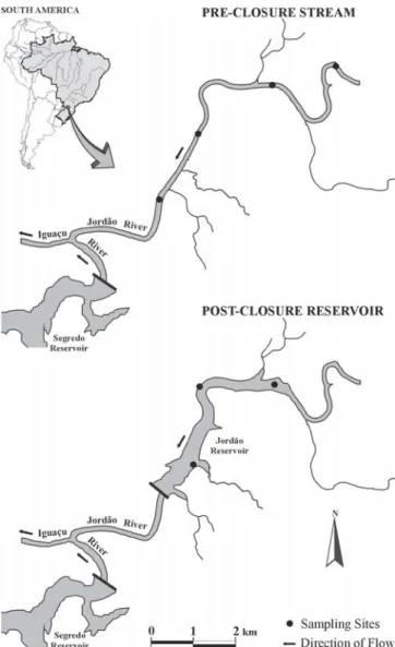 Fig. 1. Geographical location of Jordão River (Paraná State, Brazil) with indication of the study site.