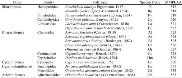 Fig. 2. Relationship between diversity and species richness in fish assemblages and the NO 3 :NH 4  ratio.