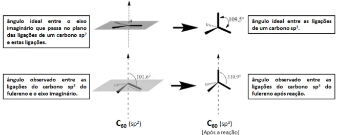 Figura 9: Hibridização dos átomos de carbono na estrutura do fulereno. 