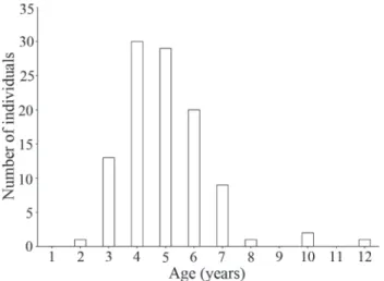 Fig. 3. Age absolute frequency for the dusky grouper (Mycteroperca marginata) collected in the study area