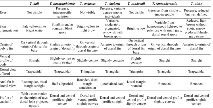 Table 2. Comparative data on external morphology of Trichomycterus subterranean species.