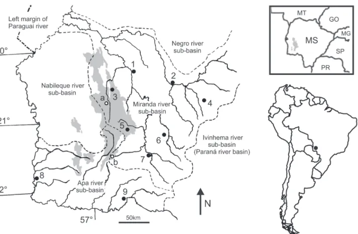 Fig. 1. Southwestern Mato Grosso do Sul state showing the principal river microbasins and area of the Bodoquena plateau (gray area)