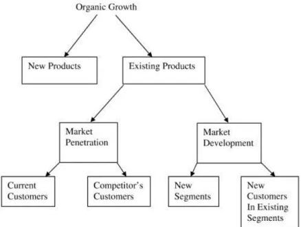 Figura 5 – Crescimento orgânico, adaptado de (Lehmann e Winer, 2009) 