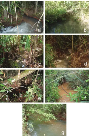 Fig. 2. General view of sites 1 to 7 sampled at the Bananal stream subbasin, Paranoá Lake basin, DF.