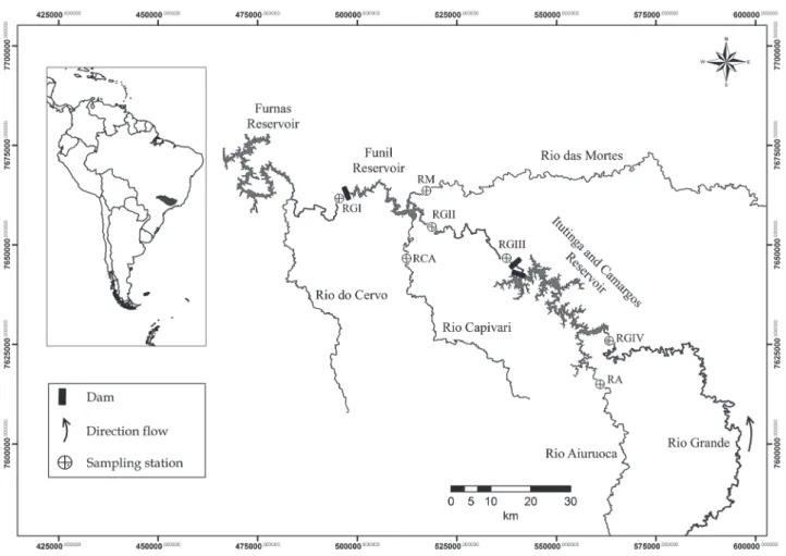 Fig. 1.  Locations of sampling stations in the upper rio Grande basin upstream of the Furnas Reservoir (Minas Gerais State, Brazil)