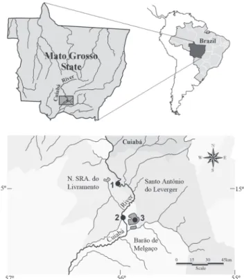 Fig. 1. Location of the sampling site in the Cuiabá River (1 and 2) and Chacororé pond (3), in the upper Pantanal region, Mato Grosso State, Brazil.