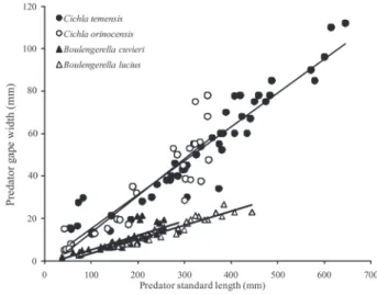 Fig. 3. Relationship between standard length and gape width for the four predator species.