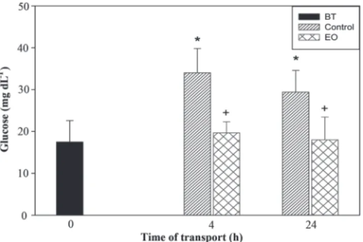 Fig. 1. Blood glucose levels of seahorses transported in plastic bags (one seahorse per bag) for 4 or 24 h