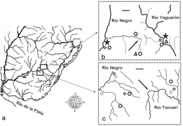 Fig. 5. a. Map of hypothesized areas of drainage rearrangements (empty squares) between río Negro and Laguna Merín tributaries, based on distribution patterns of Austrolebias and rivers morphology (elbows of capture); b