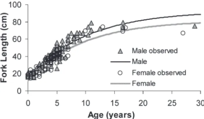 Fig. 9. Length-weight relationship for males and females of the dog snapper Lutjanus jocu from Abrolhos Bank.