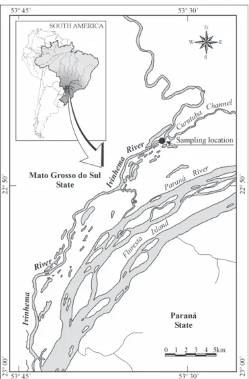 Fig. 1. Map of the floodplain section of the upper Paraná River included in this study, identifying the Ivinhema River and the approximate location where the drifting macrophyte mats were intercepted.