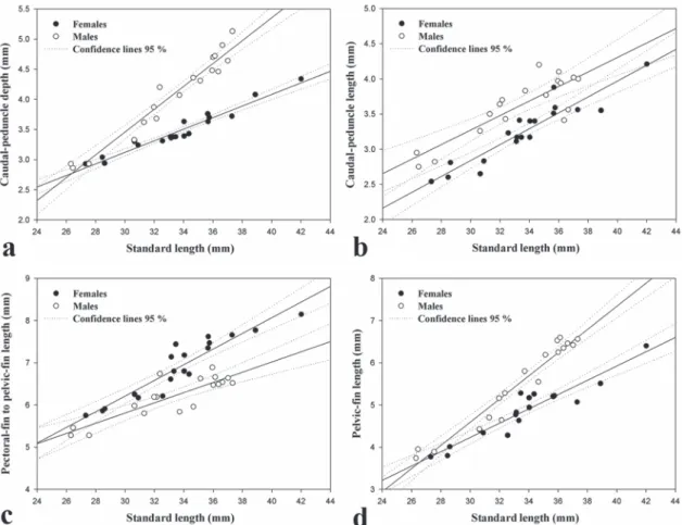 Fig. 5. Comparative regression plots of males (n = 18) and females (n = 19) of Gephyrocharax torresi