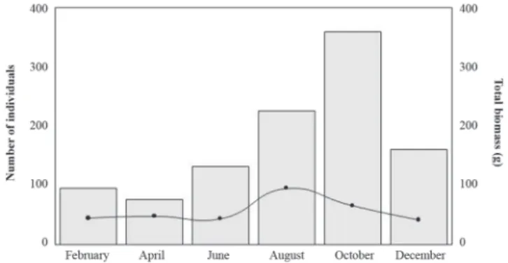 Fig. 4. Number of individuals (bars) and mean biomass of the population (line curve) of mexcalpiques during a hydrological cycle.