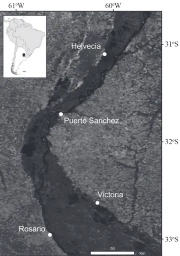 Fig. 1. Study area and the location of the main landing sites of the sábalo fisheries in the lower Paraná basin.